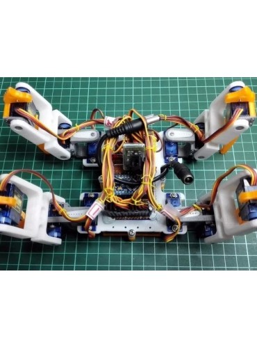 Robô quadrúpede classe C